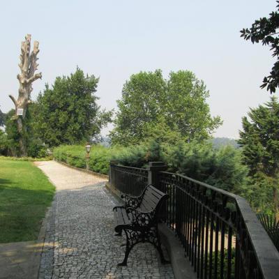 10387247 1684492705115977 4601784801134755162 N