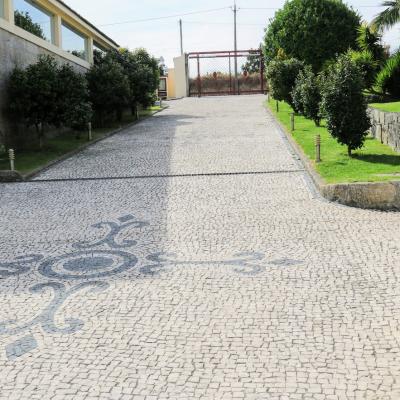 Img 0265 Img 0265