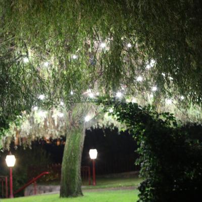 Img 9406 Easy Resize.com