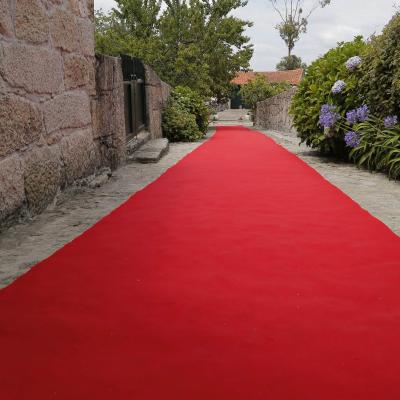 Cas. Elizabete E Paulo 023